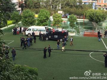 昆明小学爆料最新消息,揭秘校园内幕事件